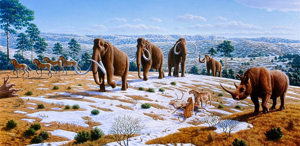 Woolly Mammoths Were Still Alive When the Pyramids Were Being Built