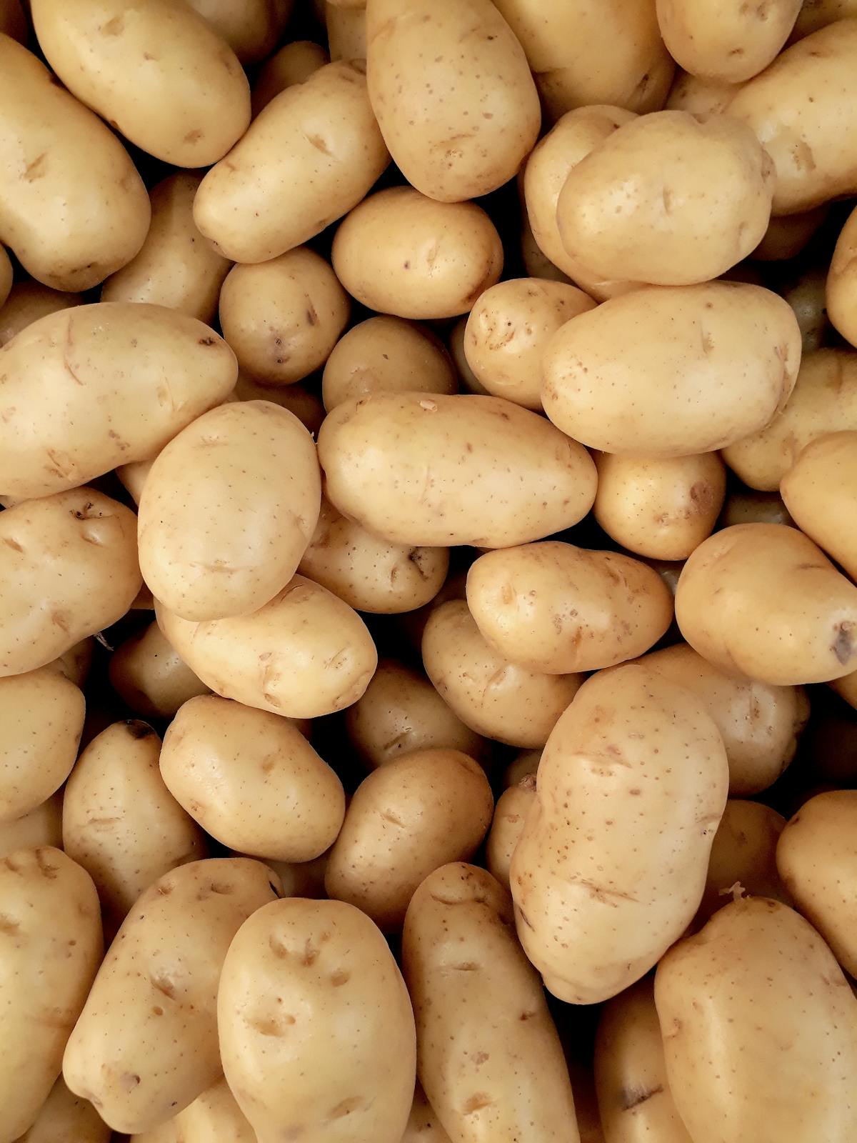 Potatoes Evolved From a Hybrid of Tomatoes and Another Plant