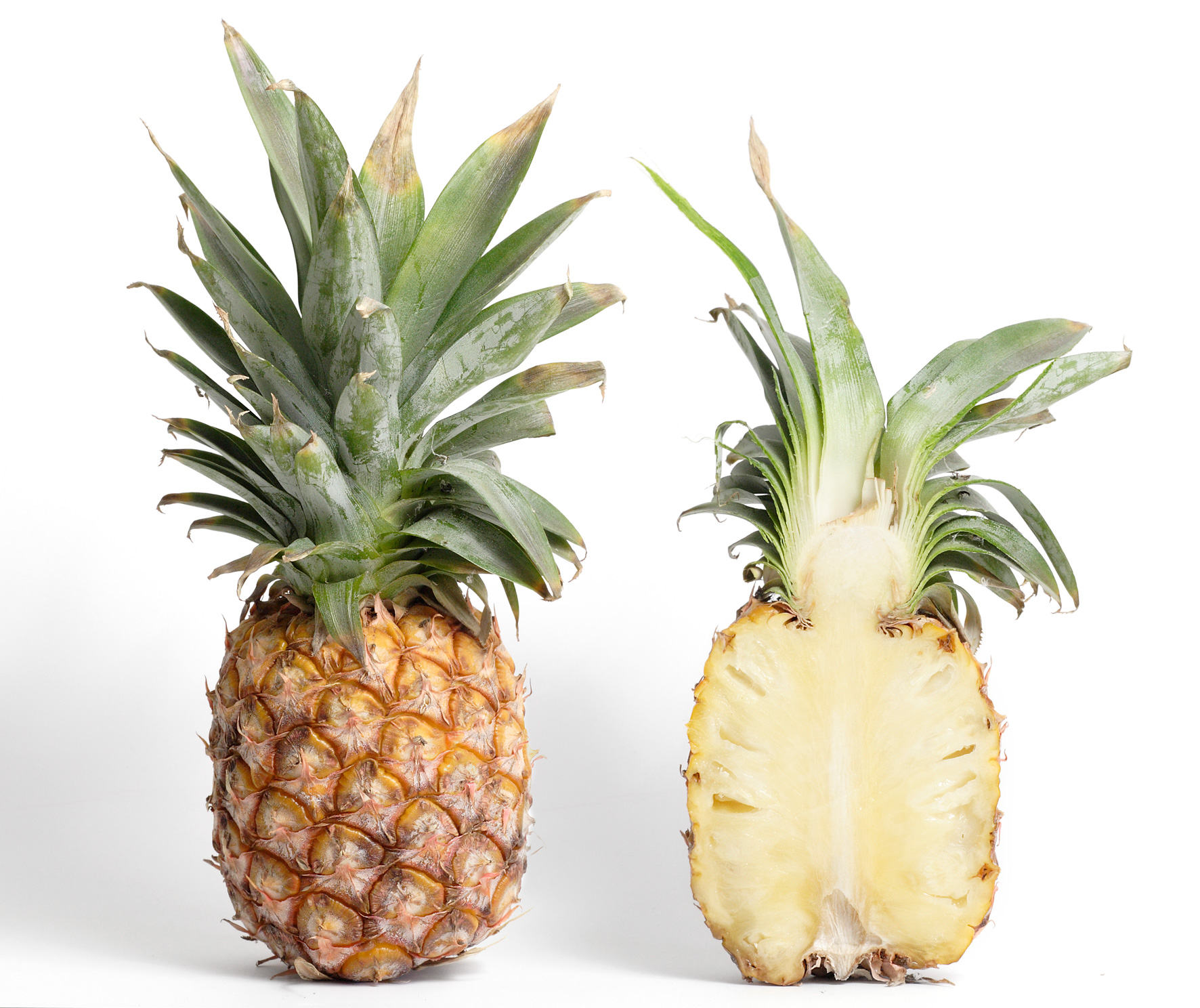 When You Eat Pineapple It Eats You Back