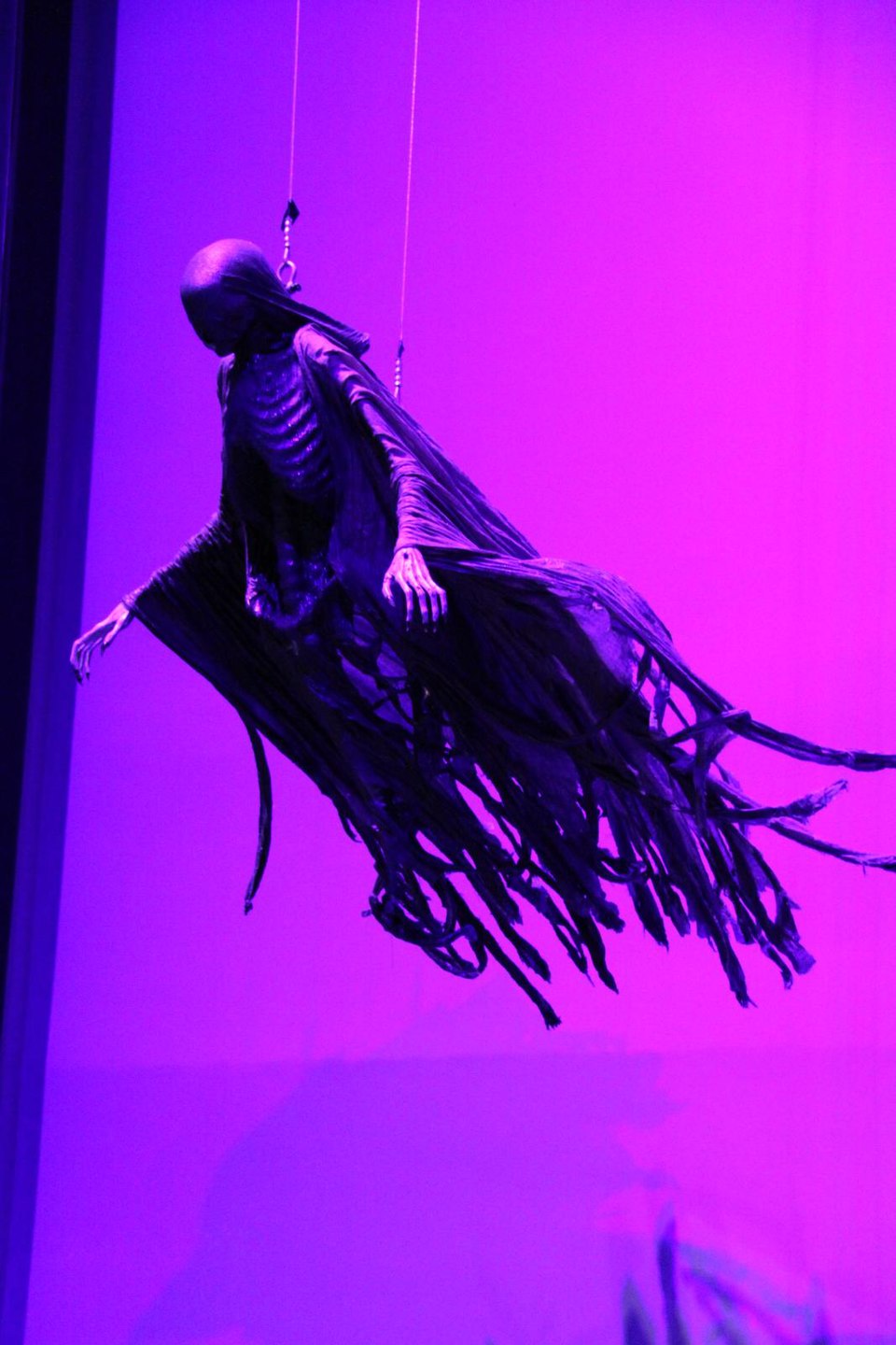Harry Potter was almost named Harry Pottermore