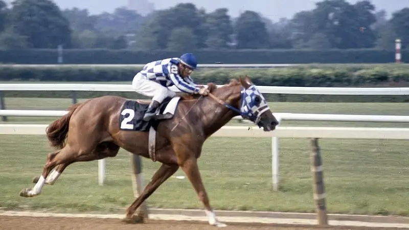Secretariat's Heart Weighed Three Times More Than a Normal Horse's