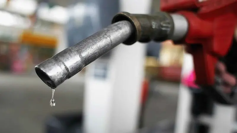 Leaded Gasoline Caused a Global Drop in Human Intelligence