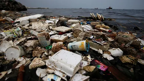 Styrofoam Cups Take 500 Years to Decompose