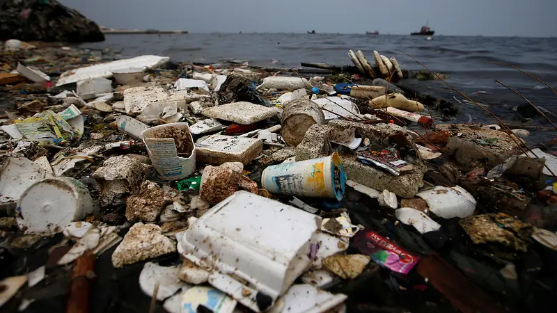Styrofoam Cups Take 500 Years to Decompose