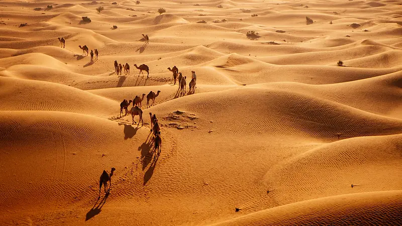 The Sahara Desert Was Once a Lush Green Paradise