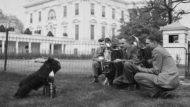 A Presidents Dog Had His Own Secretary