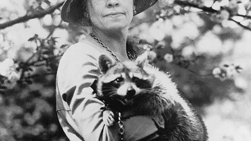 A Presidents Pet Raccoon Was Supposed to Be Thanksgiving Dinner