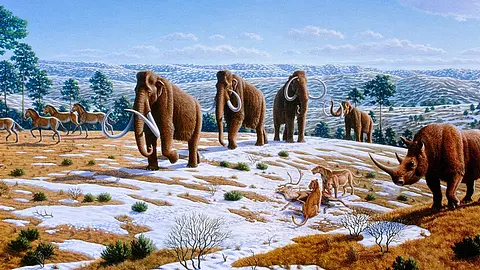 Woolly Mammoths Were Still Alive When the Pyramids Were Being Built