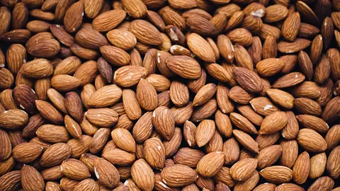 Wild Almonds Were Deadly Poisonous Before a Genetic Mutation