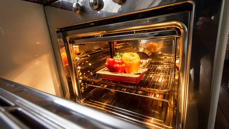 Your Microwave Has Its Own Microbiome of Radiation-Resistant Bacteria