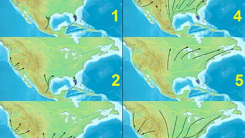 Monarch butterflies cannot fly if temperatures drop below 55 degrees