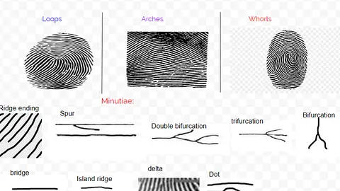 Fingerprints remain unchanged from birth to death
