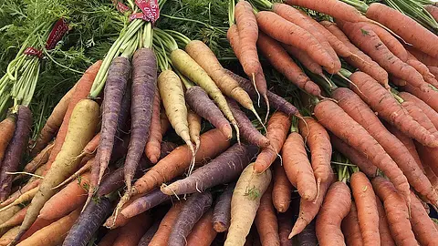 Carrots were originally purple not orange